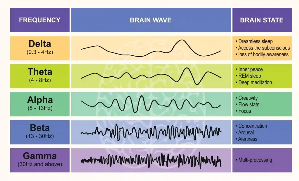 Gamma brain waves