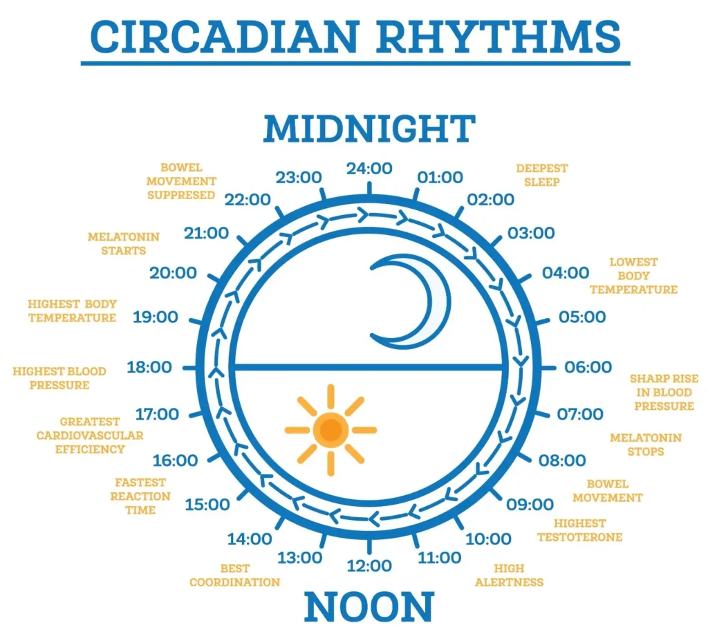 how to avoid sugar craving at night